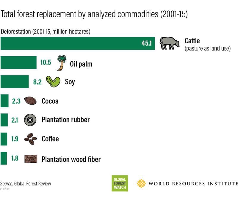 deforestation trends 森林土地損失趨勢